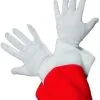 Santa Handschoenen