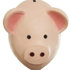 Masker Geinig Spaarvarken