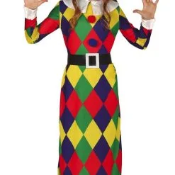 Geruite Harlekijn Vrolijke Kleuren Meisje Kostuum