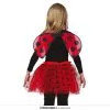 Lieveheersbeestje Lady Bug Set