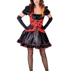 Lieveheersbeestje Rood Zwarte Kever Vrouw Kostuum