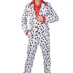 Rijst Met Krenten Hond Dalmatier Man Kostuum