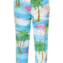 Tropisch Flaminguy Jongen Kostuum 8 Tropisch Flaminguy Jongen Kostuum -Cosplaykostuum Winkel osbo 0013 3 10