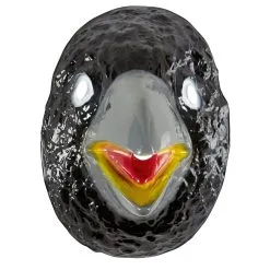 Grappig Masker Kraai, Kind