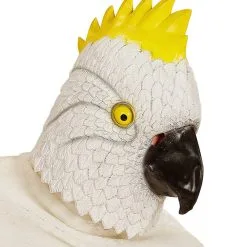 Cartoony Masker, Kaketoe