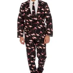 Honderd Flamingos Op 1 Poot Man Kostuum